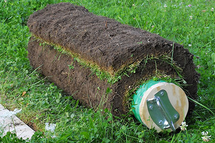 Vegetationsdeckentransplantation